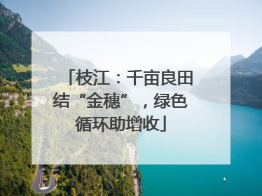 枝江：千亩良田结“金穗”，绿色循环助增收