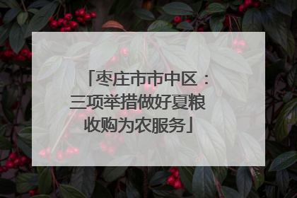 枣庄市市中区：三项举措做好夏粮收购为农服务
