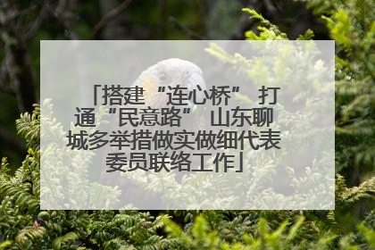 搭建“连心桥” 打通“民意路” 山东聊城多举措做实做细代表委员联络工作