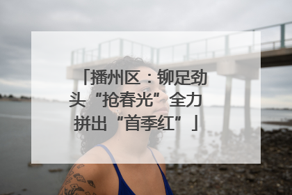 播州区：铆足劲头“抢春光”全力拼出“首季红”