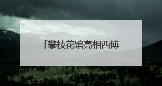 攀枝花馆亮相西博会！“豹局长”带你体验“暖暖花城”独特魅力｜西博视界