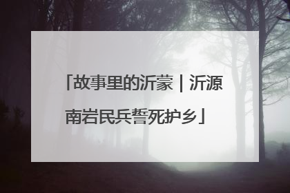 故事里的沂蒙｜沂源南岩民兵誓死护乡