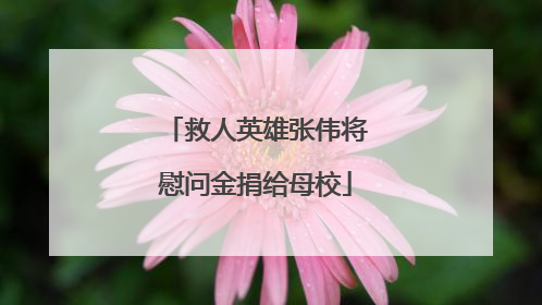 救人英雄张伟将慰问金捐给母校