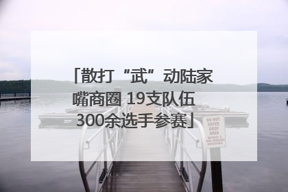 散打“武”动陆家嘴商圈 19支队伍300余选手参赛
