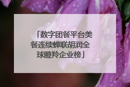 数字团餐平台美餐连续蝉联胡润全球瞪羚企业榜