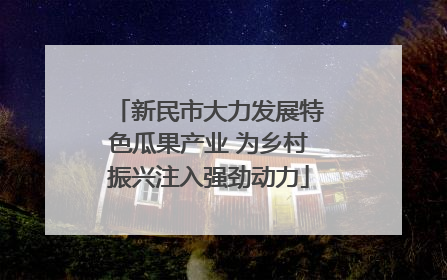 新民市大力发展特色瓜果产业 为乡村振兴注入强劲动力