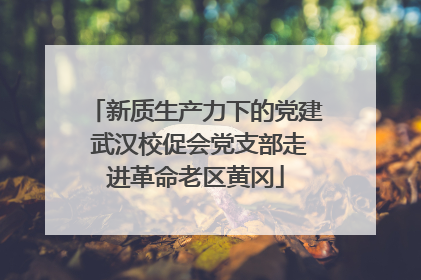 新质生产力下的党建 武汉校促会党支部走进革命老区黄冈