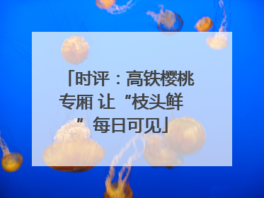时评：高铁樱桃专厢 让“枝头鲜”每日可见
