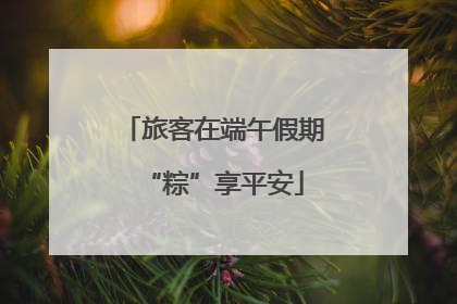 旅客在端午假期“粽”享平安