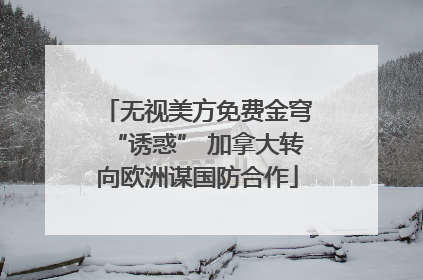 无视美方免费金穹“诱惑” 加拿大转向欧洲谋国防合作