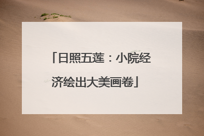 日照五莲：小院经济绘出大美画卷