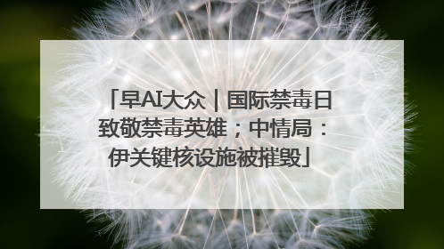 早AI大众｜国际禁毒日 致敬禁毒英雄；中情局：伊关键核设施被摧毁