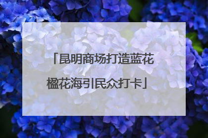 昆明商场打造蓝花楹花海引民众打卡