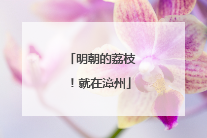 明朝的荔枝！就在漳州