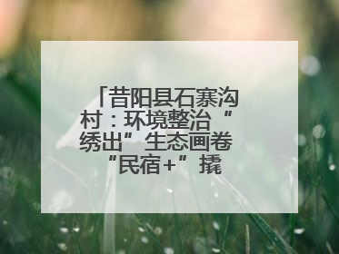 昔阳县石寨沟村：环境整治“绣出”生态画卷 “民宿+”撬动农文旅融合