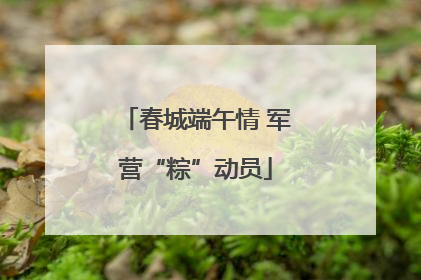春城端午情 军营“粽”动员
