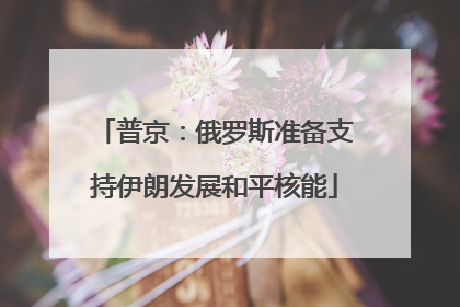 普京：俄罗斯准备支持伊朗发展和平核能