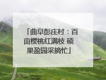 曲阜彭庄村：百亩樱桃红满枝 硕果盈园采摘忙