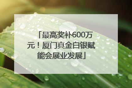 最高奖补600万元！厦门真金白银赋能会展业发展