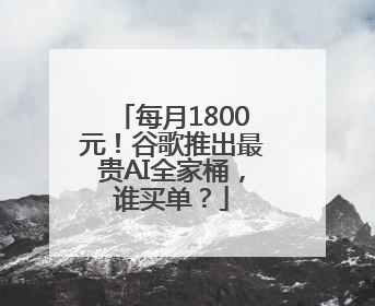 每月1800元！谷歌推出最贵AI全家桶，谁买单？