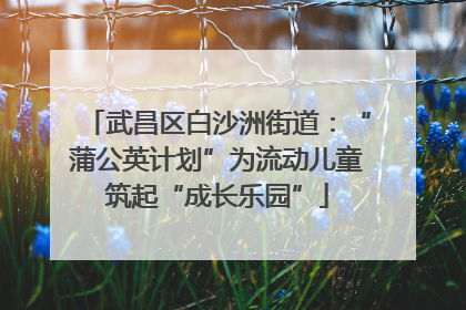 武昌区白沙洲街道：“蒲公英计划”为流动儿童筑起“成长乐园”