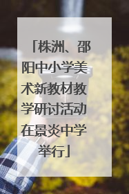 株洲、邵阳中小学美术新教材教学研讨活动在景炎中学举行