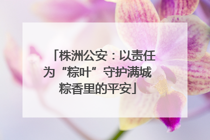 株洲公安：以责任为“粽叶”守护满城粽香里的平安