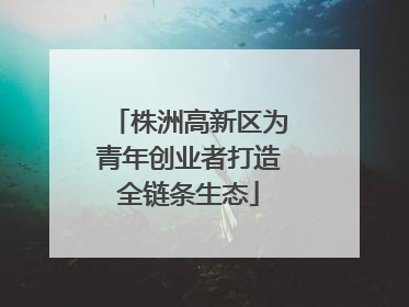 株洲高新区为青年创业者打造全链条生态