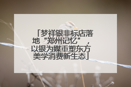 梦祥银非标店落地“郑州记忆”，以银为媒重塑东方美学消费新生态