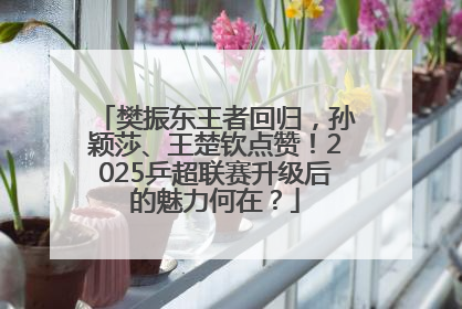 樊振东王者回归，孙颖莎、王楚钦点赞！2025乒超联赛升级后的魅力何在？
