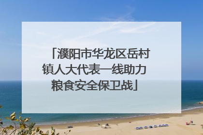 濮阳市华龙区岳村镇人大代表一线助力粮食安全保卫战