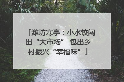 潍坊寒亭：小水饺闯出“大市场” 包出乡村振兴“幸福味”
