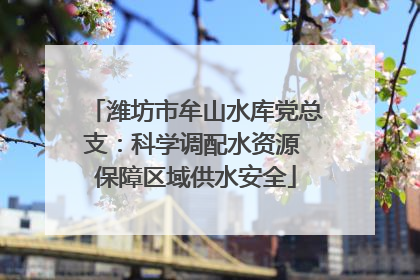 潍坊市牟山水库党总支：科学调配水资源 保障区域供水安全