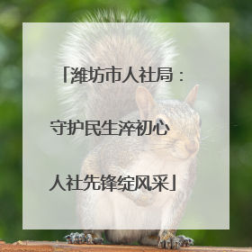 潍坊市人社局：守护民生淬初心 人社先锋绽风采