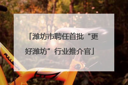 潍坊市聘任首批“更好潍坊”行业推介官