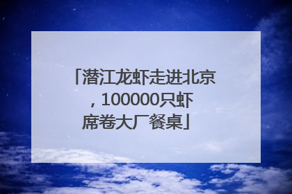 潜江龙虾走进北京，100000只虾席卷大厂餐桌