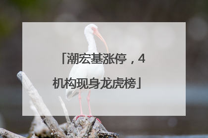 潮宏基涨停，4机构现身龙虎榜