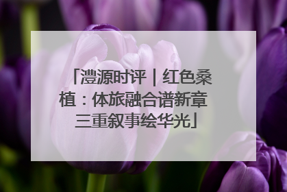 澧源时评｜红色桑植：体旅融合谱新章 三重叙事绘华光