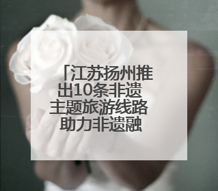 江苏扬州推出10条非遗主题旅游线路 助力非遗融入现代生活