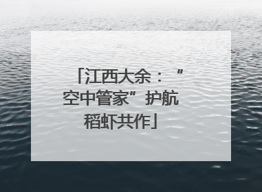 江西大余：“空中管家”护航稻虾共作