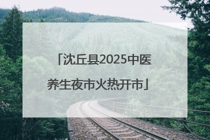 沈丘县2025中医养生夜市火热开市