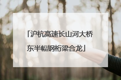 沪杭高速长山河大桥东半幅钢桁梁合龙