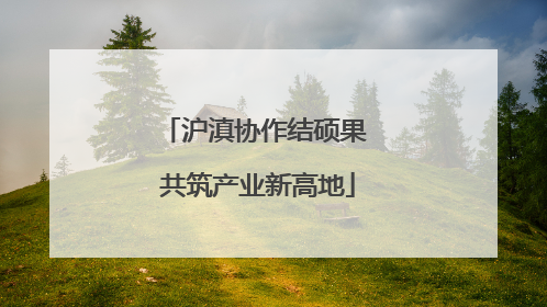 沪滇协作结硕果 共筑产业新高地