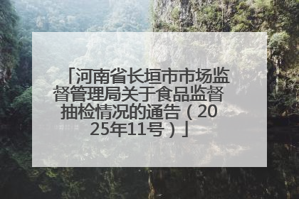 河南省长垣市市场监督管理局关于食品监督抽检情况的通告（2025年11号）