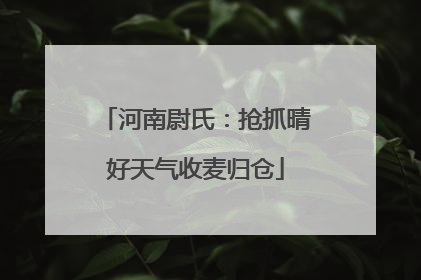 河南尉氏：抢抓晴好天气收麦归仓