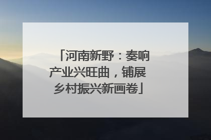 河南新野：奏响产业兴旺曲，铺展乡村振兴新画卷