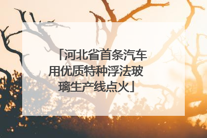 河北省首条汽车用优质特种浮法玻璃生产线点火