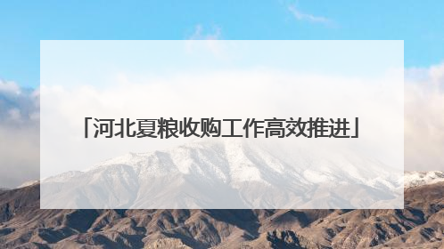 河北夏粮收购工作高效推进
