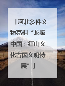 河北多件文物亮相“龙腾中国：红山文化古国文明特展”
