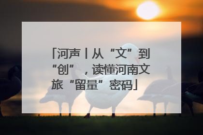 河声丨从“文”到“创”，读懂河南文旅“留量”密码